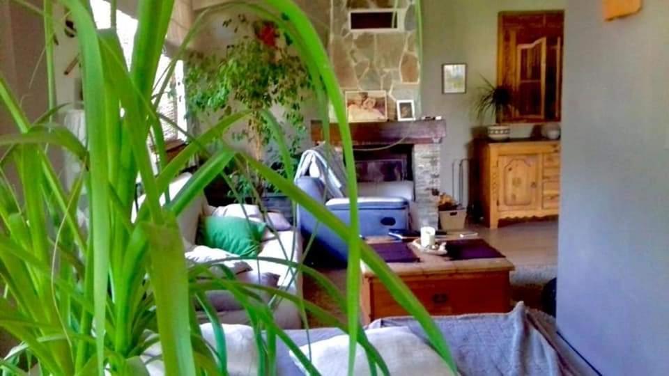Maison du bonheur Borgo  Eksteriør billede